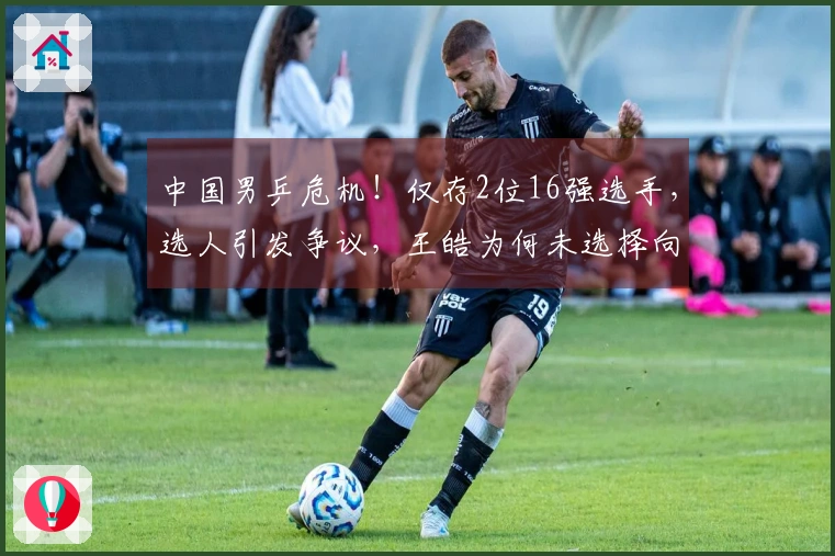 中国男乒危机！仅存2位16强选手，选人引发争议，王皓为何未选择向鹏？