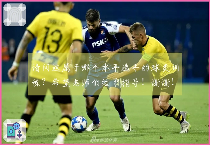 请问这属于哪个水平选手的球类训练？希望老师们给予指导！谢谢！