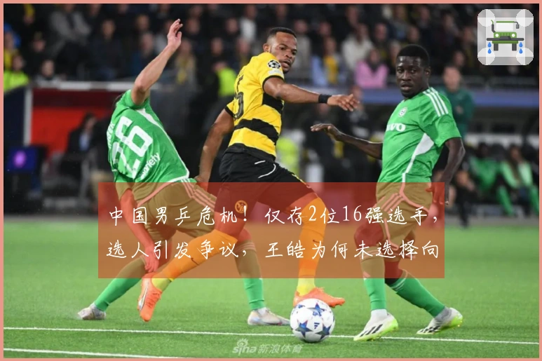 中国男乒危机！仅存2位16强选手，选人引发争议，王皓为何未选择向鹏？