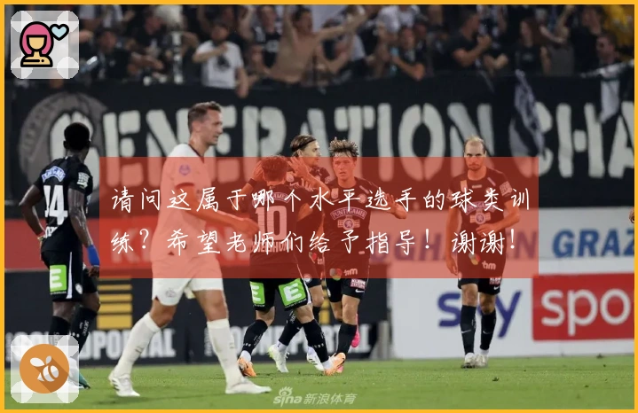 请问这属于哪个水平选手的球类训练？希望老师们给予指导！谢谢！