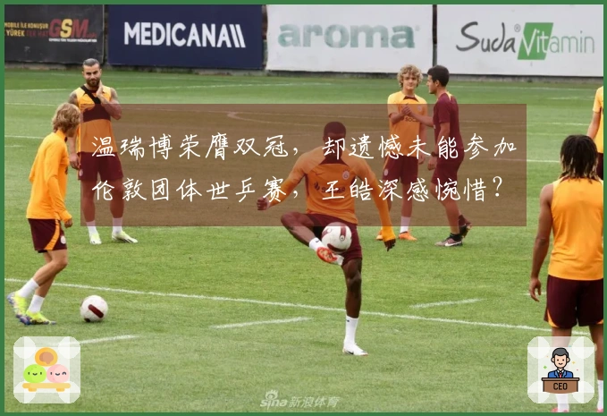 温瑞博荣膺双冠，却遗憾未能参加伦敦团体世乒赛，王皓深感惋惜？